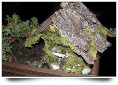 Fairy House