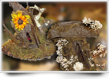 Fairy House Fairy House